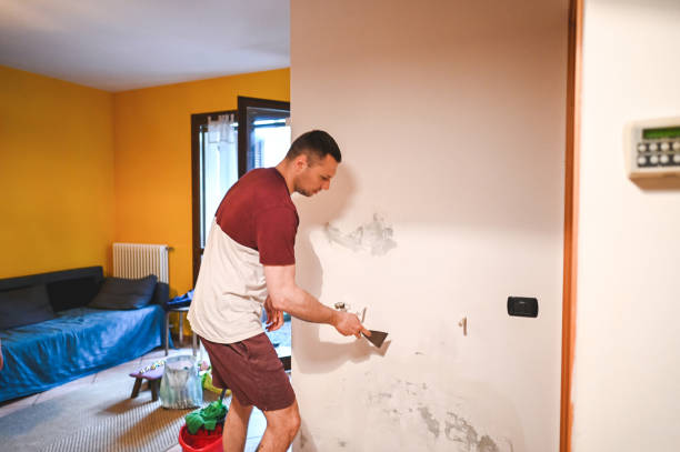 Best Basement Mold Remediation in Leisure Knoll, NJ